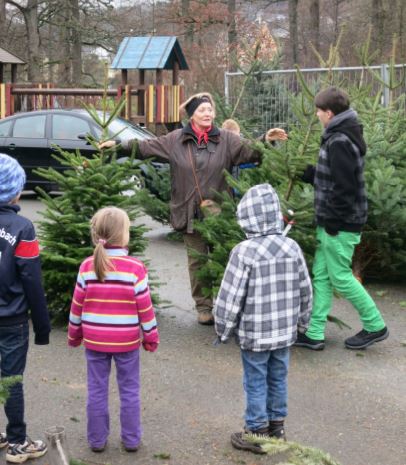 Förderverein der b school Allenbach lädt zum Weihnachtsbaumverkauf ein (Foto: Förderverein)